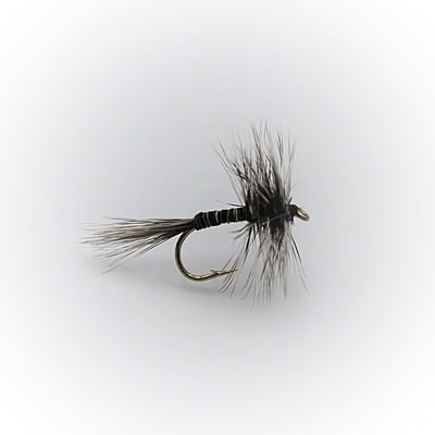 Fly Fishing